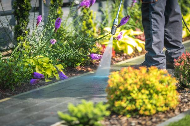 Best Animal Enclosure Cleaning  in Deltana, AK