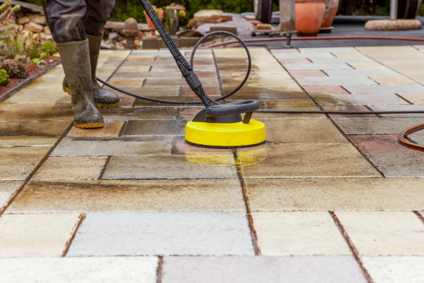 Best Driveway Pressure Washing  in Deltana, AK