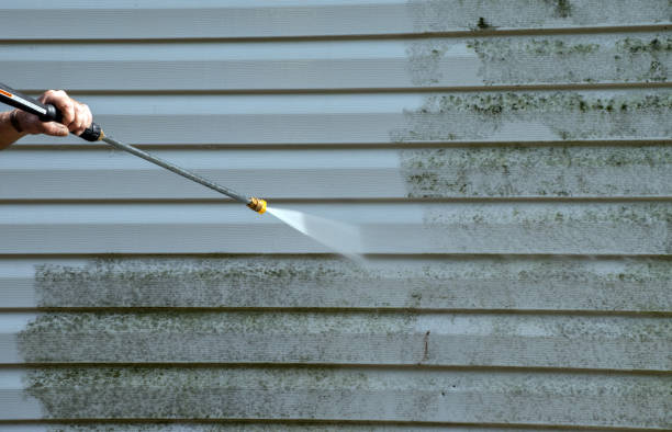 Best Gutter Cleaning  in Deltana, AK