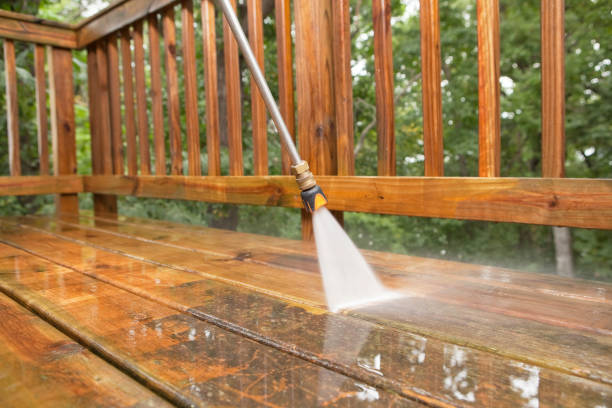 Best Sidewalk and Walkway Cleaning  in Deltana, AK
