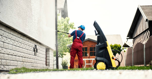 Best House Exterior Washing  in Deltana, AK
